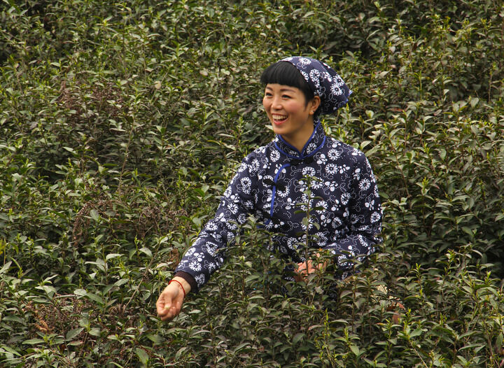 主播同步